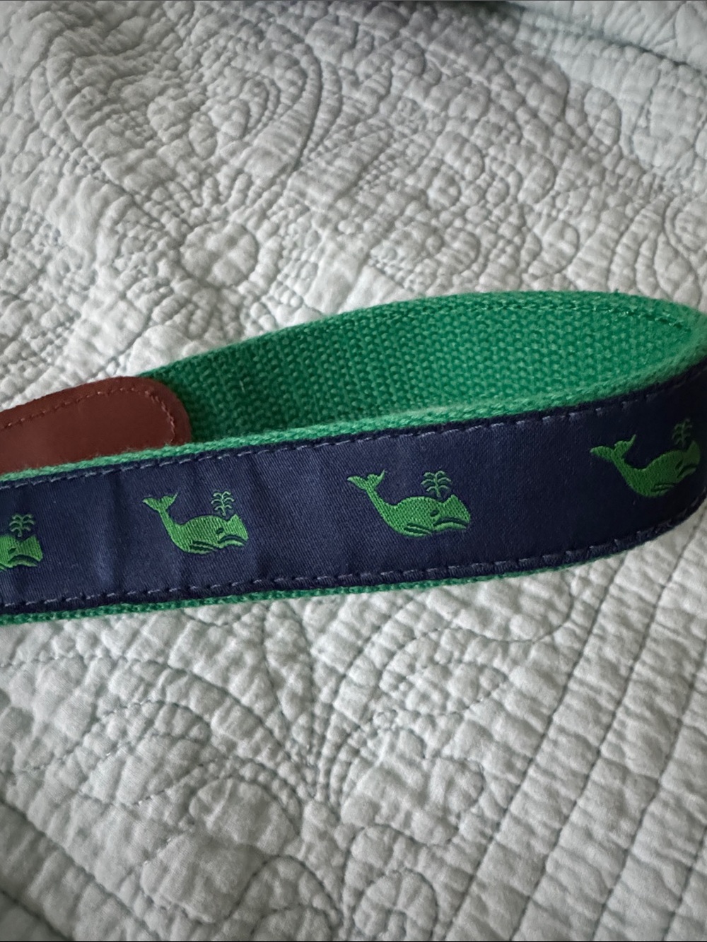 Preston whale belt